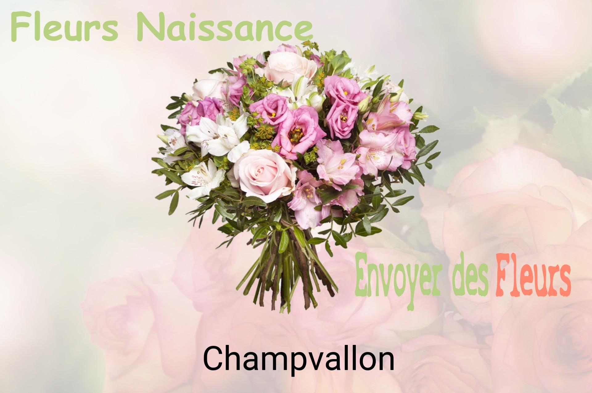 Bouquet de fleurs de naissance livré à Champvallon