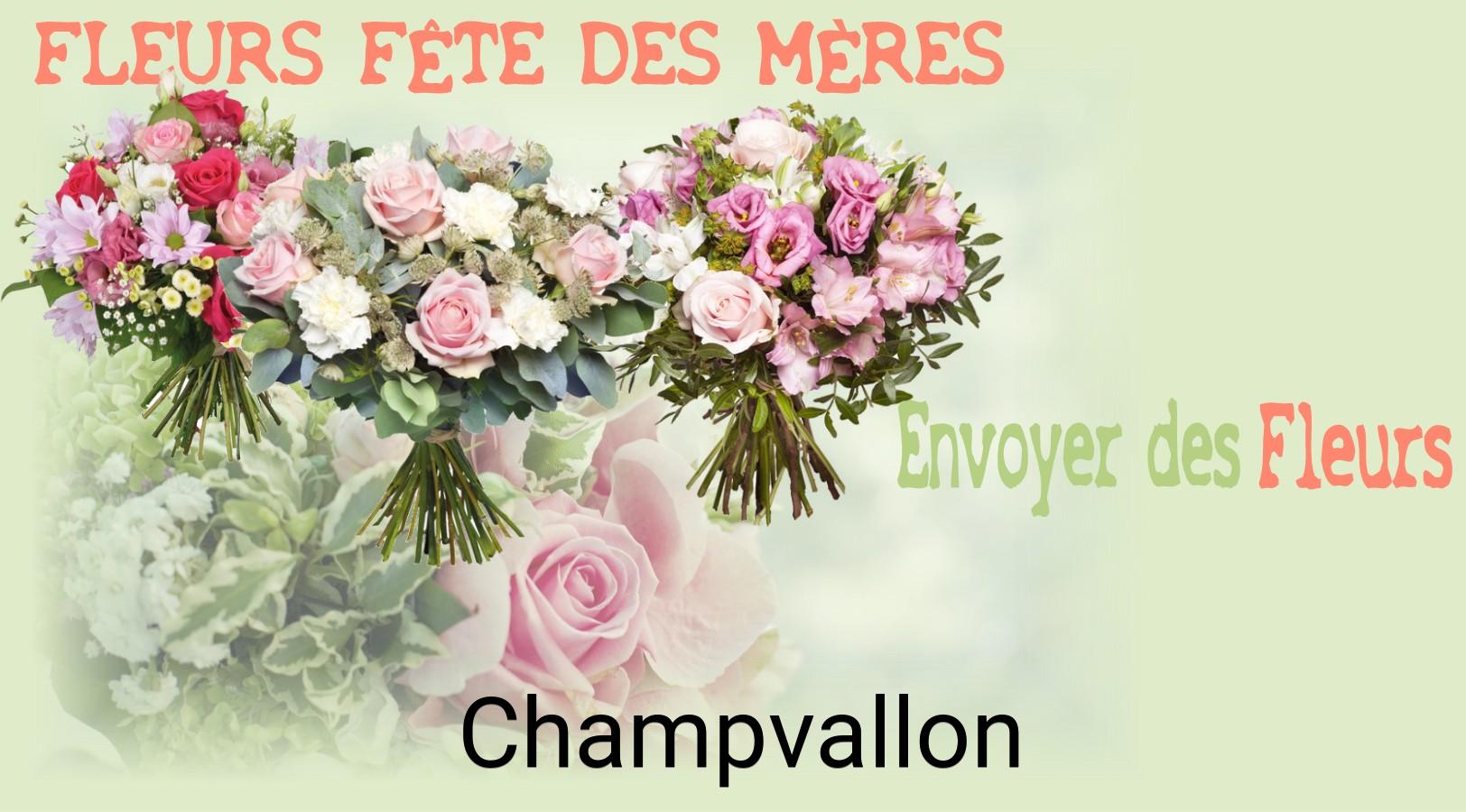 Bouquet de Fête des Mères livré à Champvallon